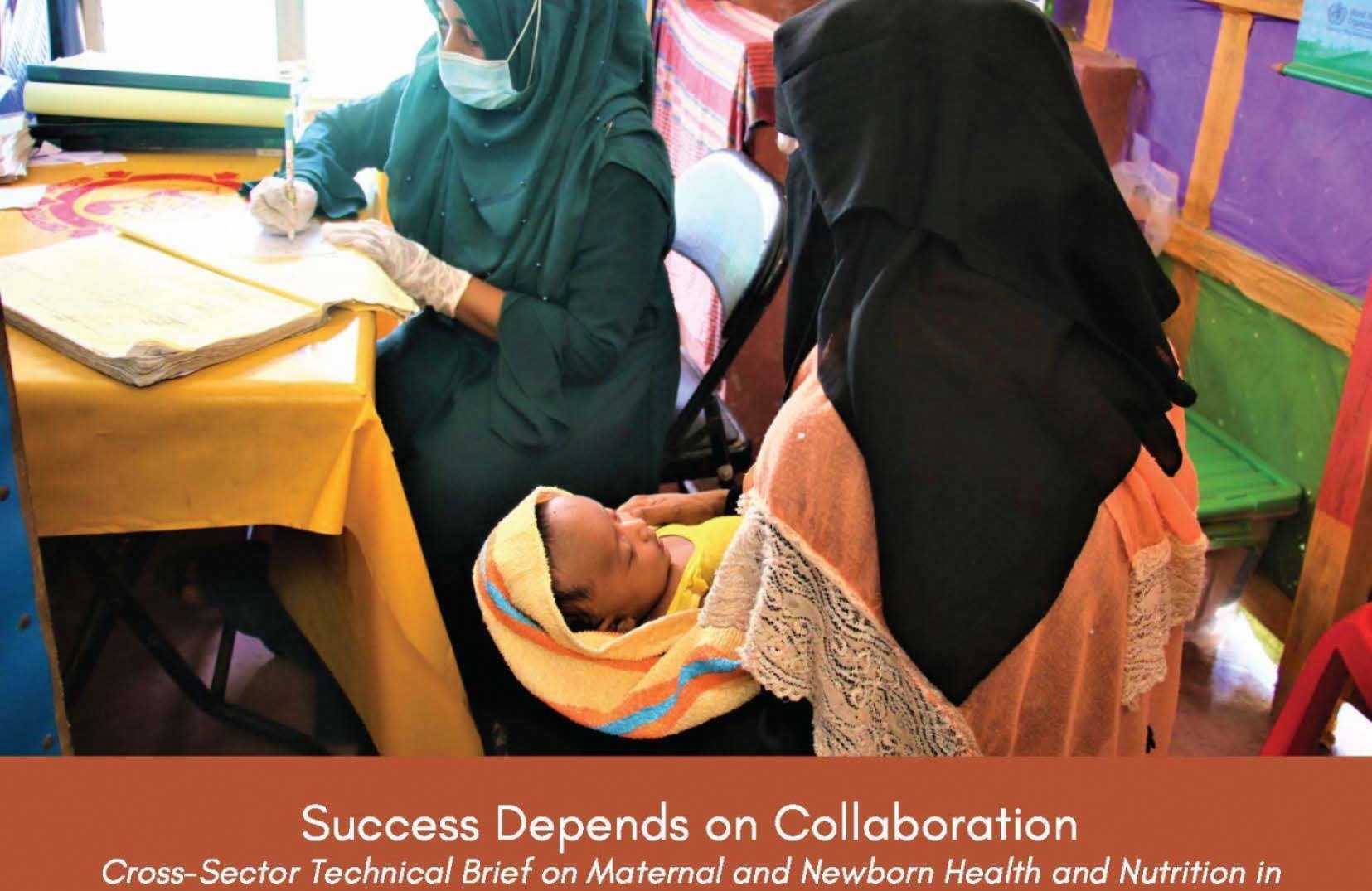 Maternal and Newborn Health | Inter-Agency Working Group on ...