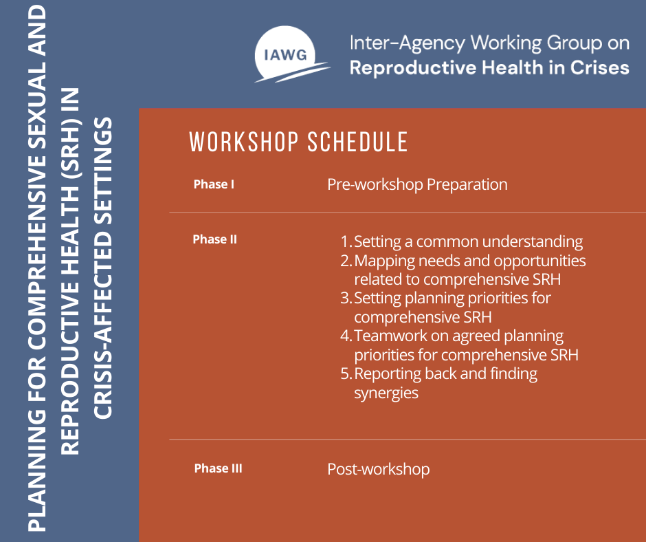 text graphic explains the three phases of the workshop, found in the facilitator's guide