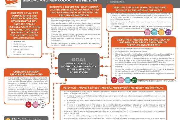 Guidance Documents - Inter-Agency Working Group on Reproductive Health ...