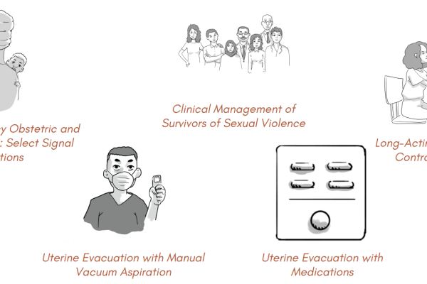 Cover graphics of all S-CORT documents